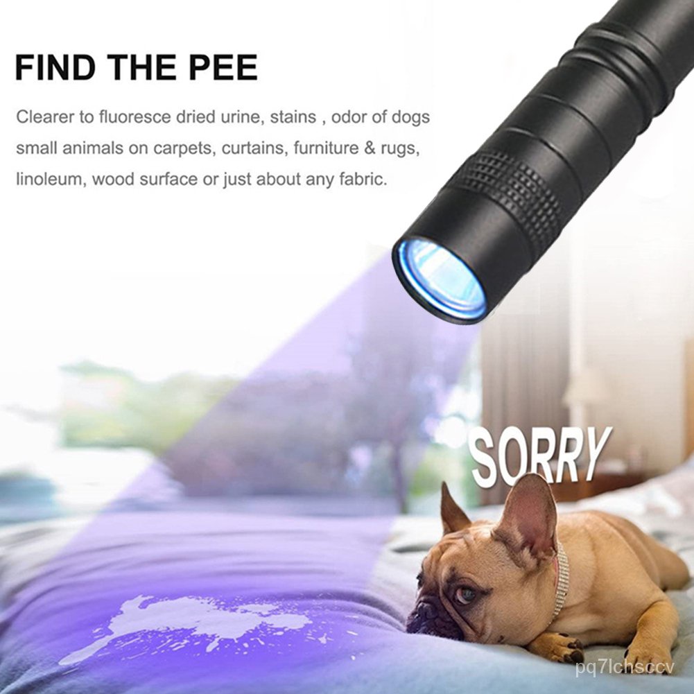 LED UV Flashlight Ultraviolet Torch Mini UV Light Pet Urine Stains