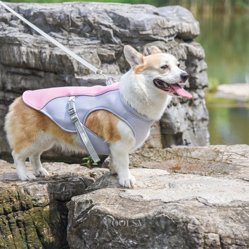 COOLSY Pet Dog Cooling Vest Breathable Heatstroke Reflective Dogs