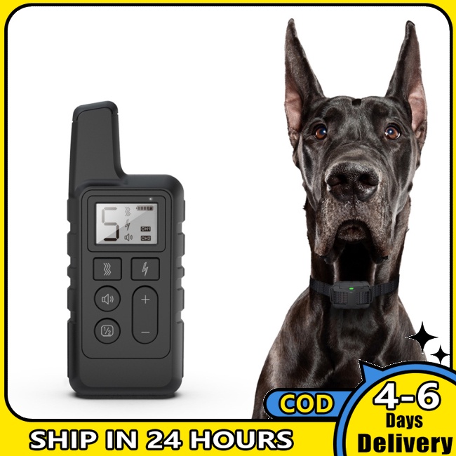 Electric dog outlet control