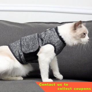 Cat Sweaters Jackets — Catexplorer