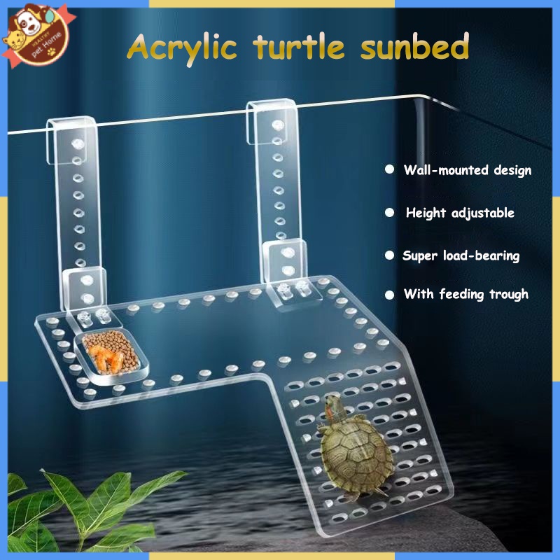 Wall-Mounted Acrylic Turtle Sunning Platform Climbing Transparent ...