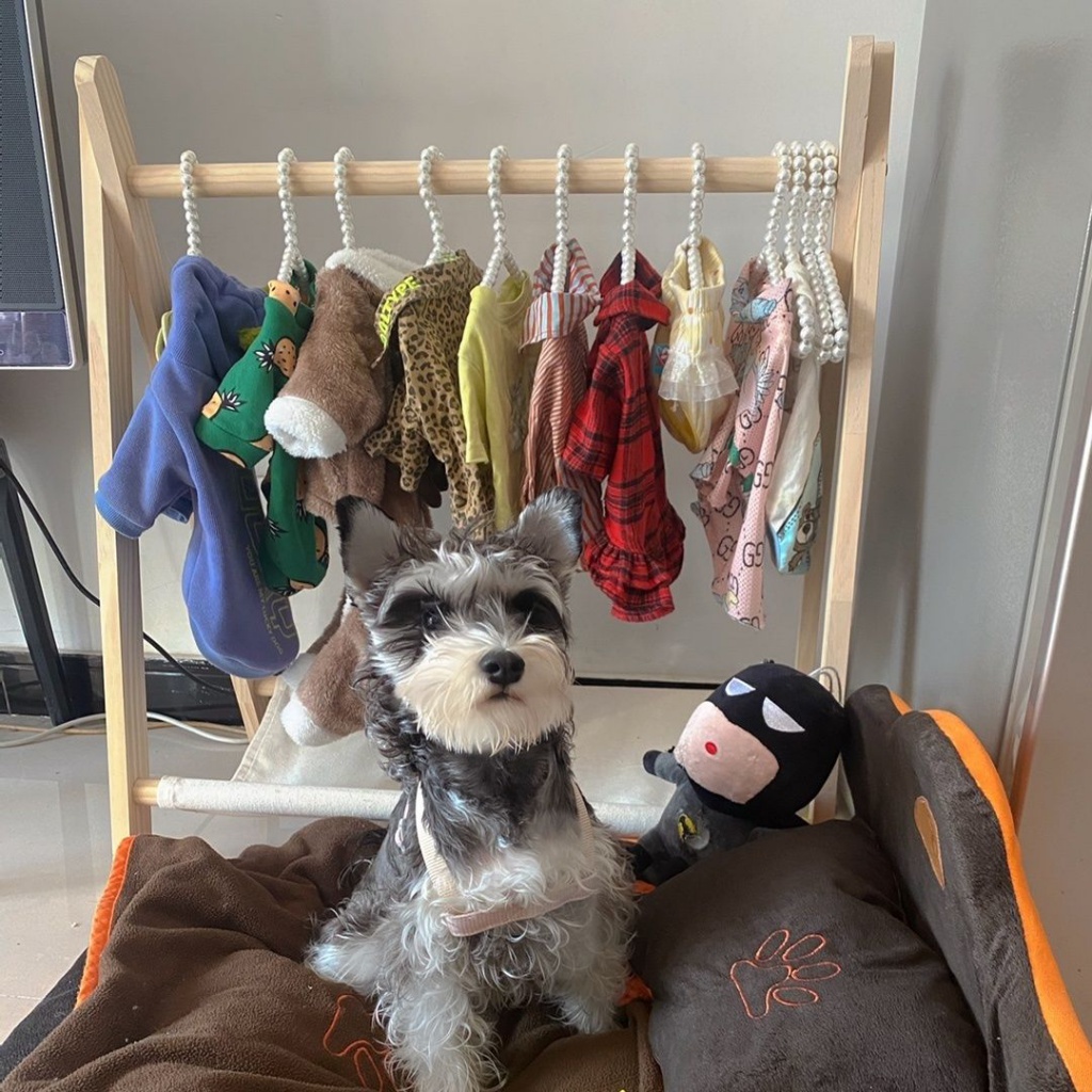 Pet Coat Hanger Foldable Clothes Rack Simple Dog Cloth Rack Durable ...