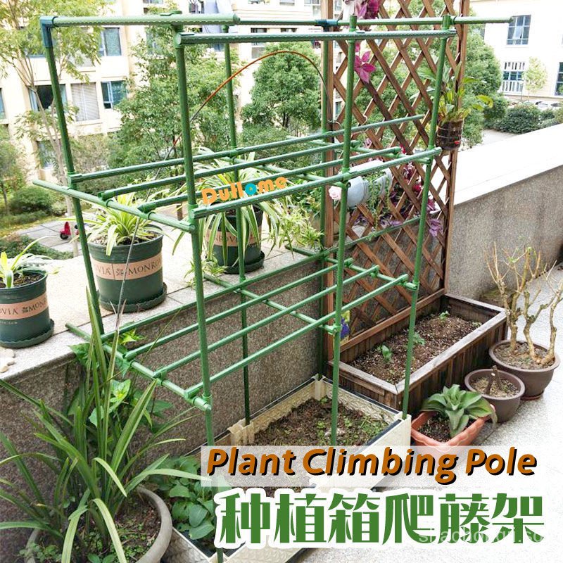 [In stock]YYNING Plant Climbing Pole Pillar Pole Grape Rack Lattice ...