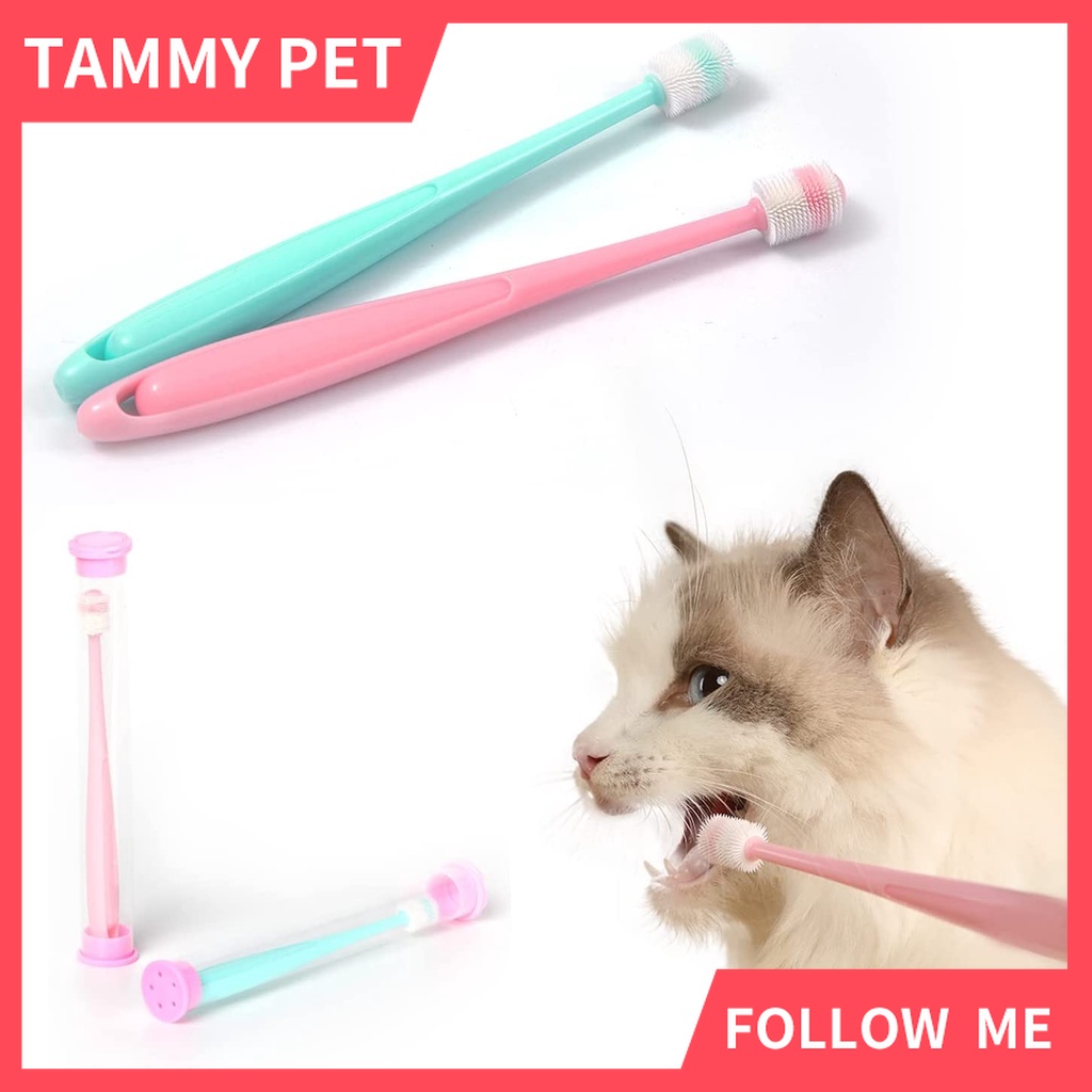 Cat and toothbrush sale