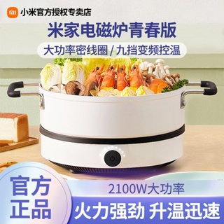 Xiaomi MiJia Electric Rice Cooker C1 Pro 4L: a smart rice cooker for $29