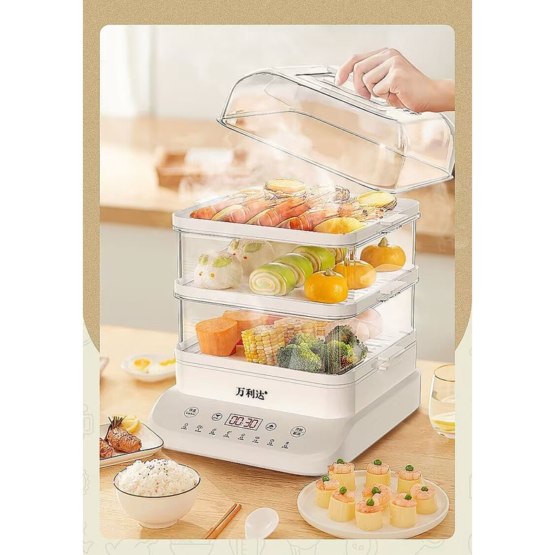 SG Ready Stock to ShipElectric Food Steamer for Cooking, 3 Tier ...