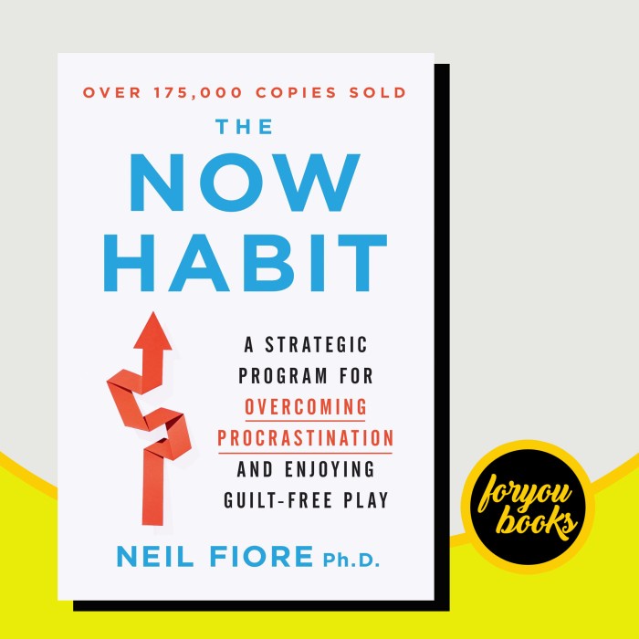 The Now Habit: A Strategic Program for Overcoming Procrastination and ...