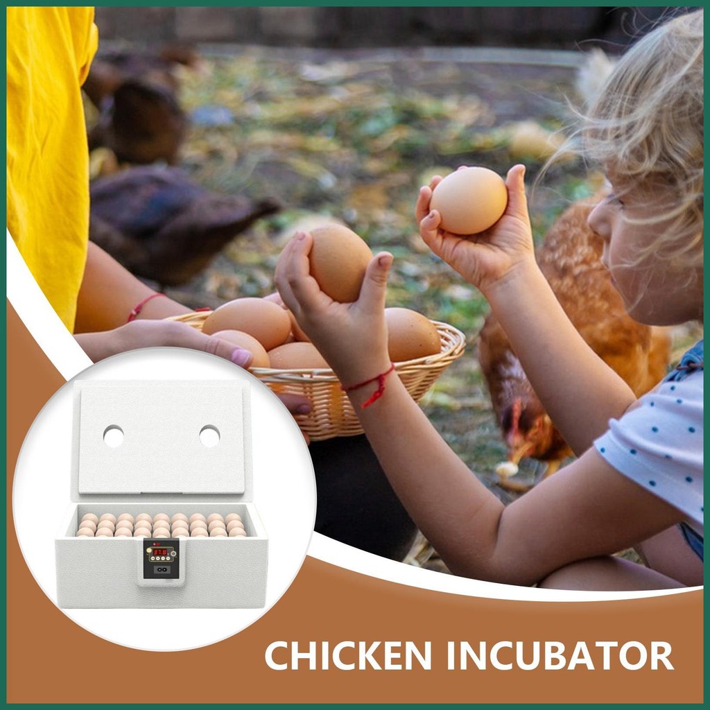Poultry Incubator Parrot 10-25 Egg Incubator Full-Coverage Insulation ...