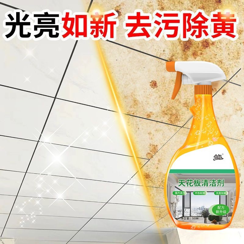 Ceiling Cleaner Integrated Ceiling Ceiling Wallpaper Cleaner Ceiling ...