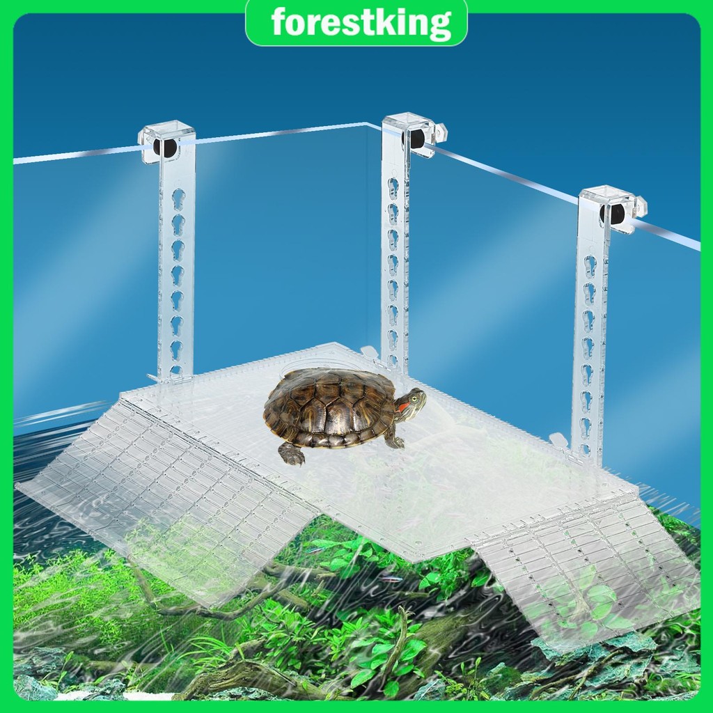 Turtle Basking Platform Acrylic Turtle Dock Basking Platform Height ...
