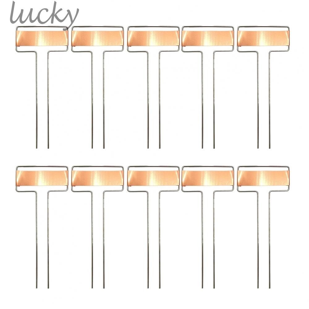 Accurate Plant Labeling with Copper Plate Garden Stake Tags (60 ...