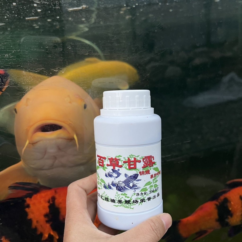 Baicao Nectar Koi Dedicated Fish Medicine Bacteria Cross Infection ...