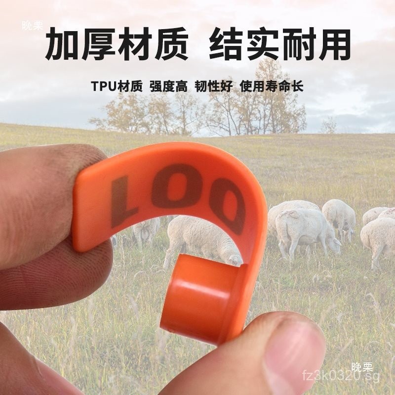 Ear Tags with Text, Sheep Ear Tags, Ear Tags with Text, Sheep Ear Tags ...