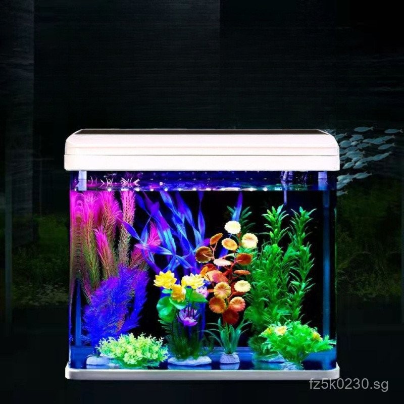 Glass Living Room Without Fish Tank Water Valley with Home Use Fish ...