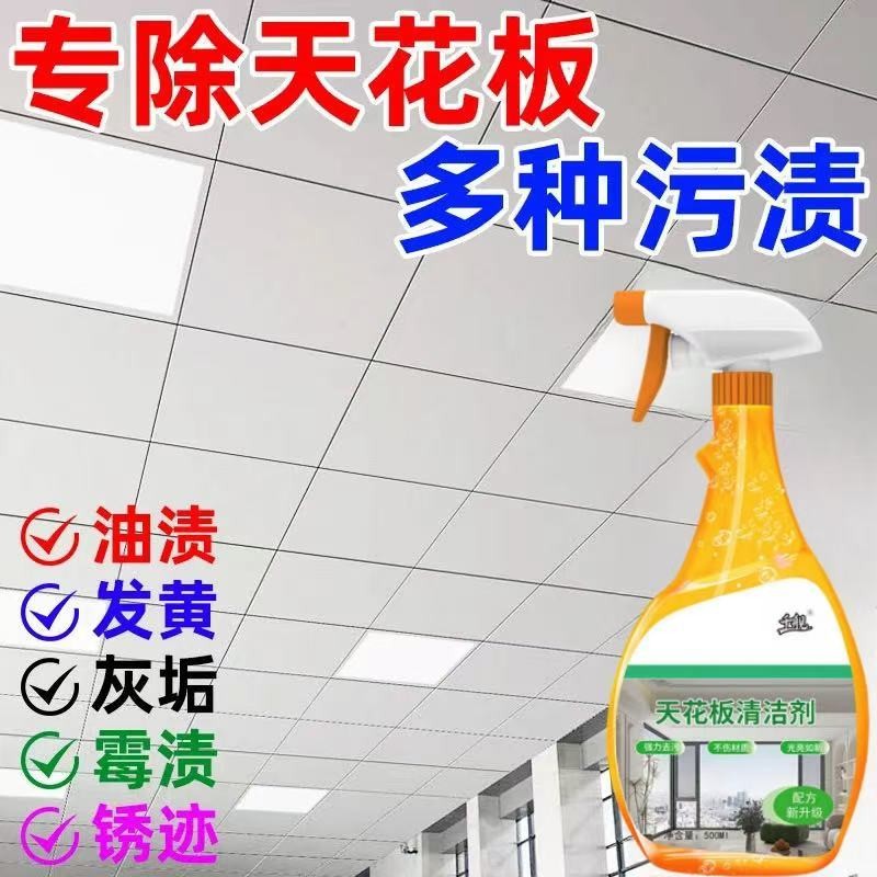 Ceiling Cleaner Integrated Ceiling Ceiling Wallpaper Cleaner Ceiling ...
