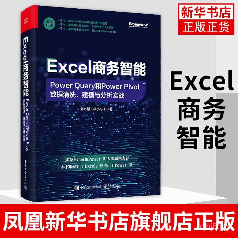 Excel Business Intelligence Power Query and Power Pivot Data Cleaning ...