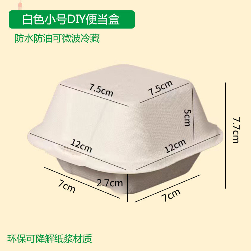 Disposable Lunch Box Influencer Cake Box Hand-Painted Sugarcane Pulp ...