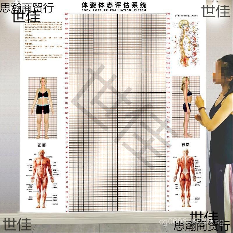 Posture Correction Chain Posture Gym Wall Grid Paper Wall Sticker ...