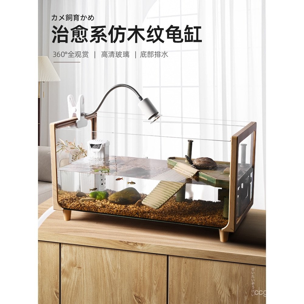 Turtle Tank with Basking Platform, Villa Living Room Ecological ...