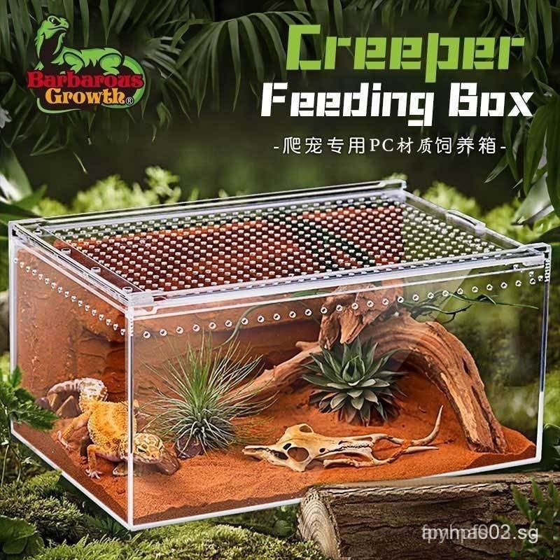 [Sales] Acrylic Reptile Breeding Box Magnetic Thickened Transparent ...