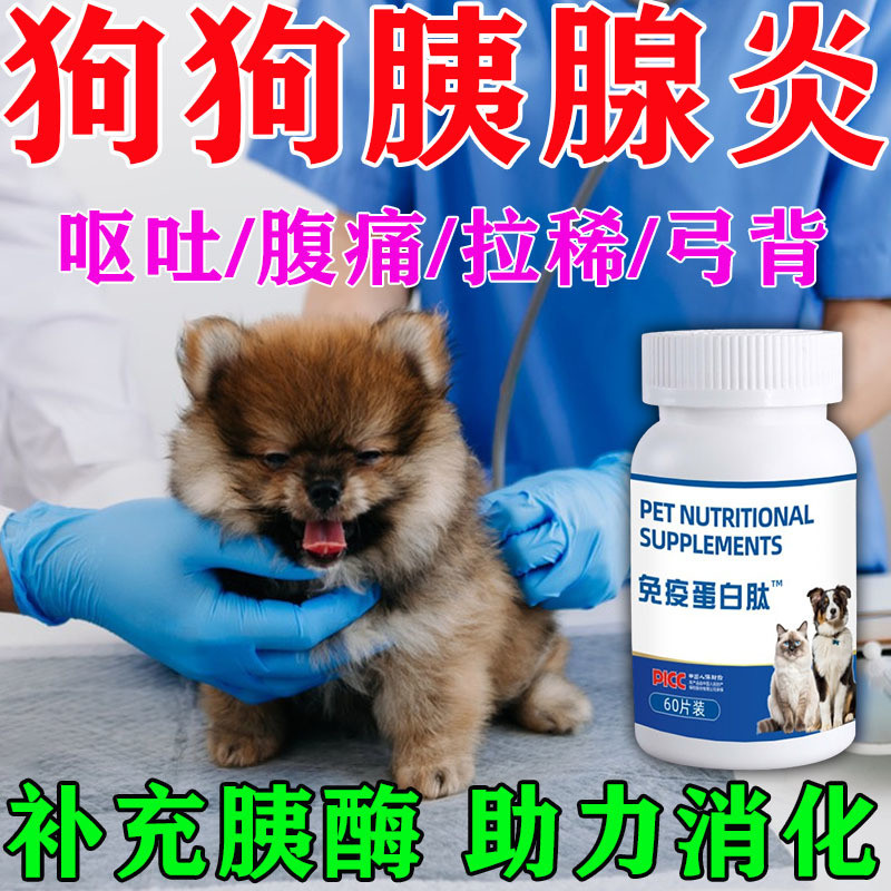 Dog Medicine Pancreatitis Pet Cat Vomiting Diarrhea Regulating ...