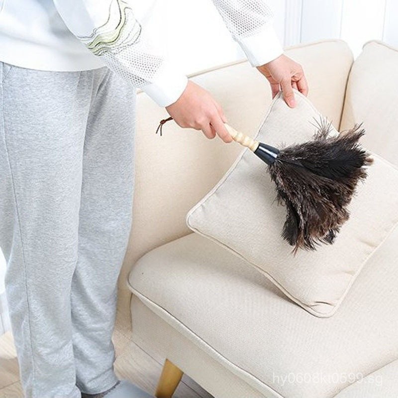 No Duster Chicken Feather Car Use Ostrich Feather Real Dust Removal ...