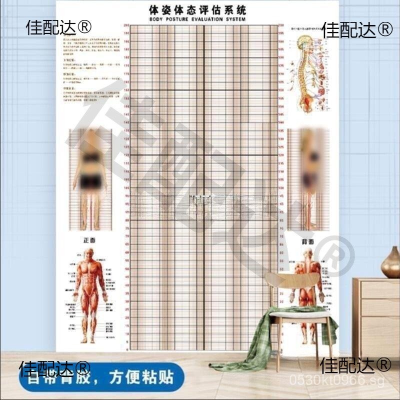 Posture Assessment Chart Grid Body Fat Posture Posture Wall Sticker Gym ...