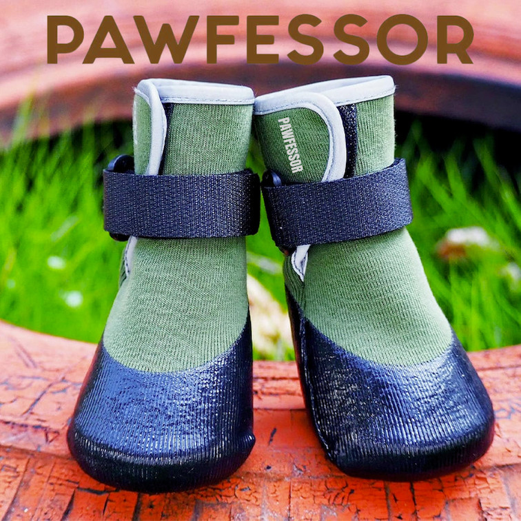 PAWFESSOR Dog Walking Shoes Boots Waterproof Pet Socks Running Outdoor ...