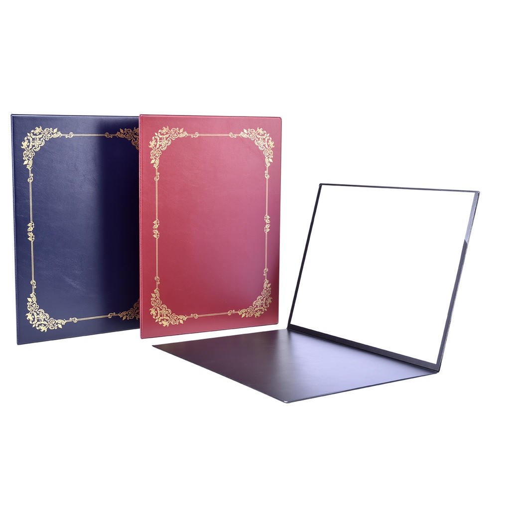 Certificate Holder A4 File (Hard Cover) with Premium Gold Border / Fail ...