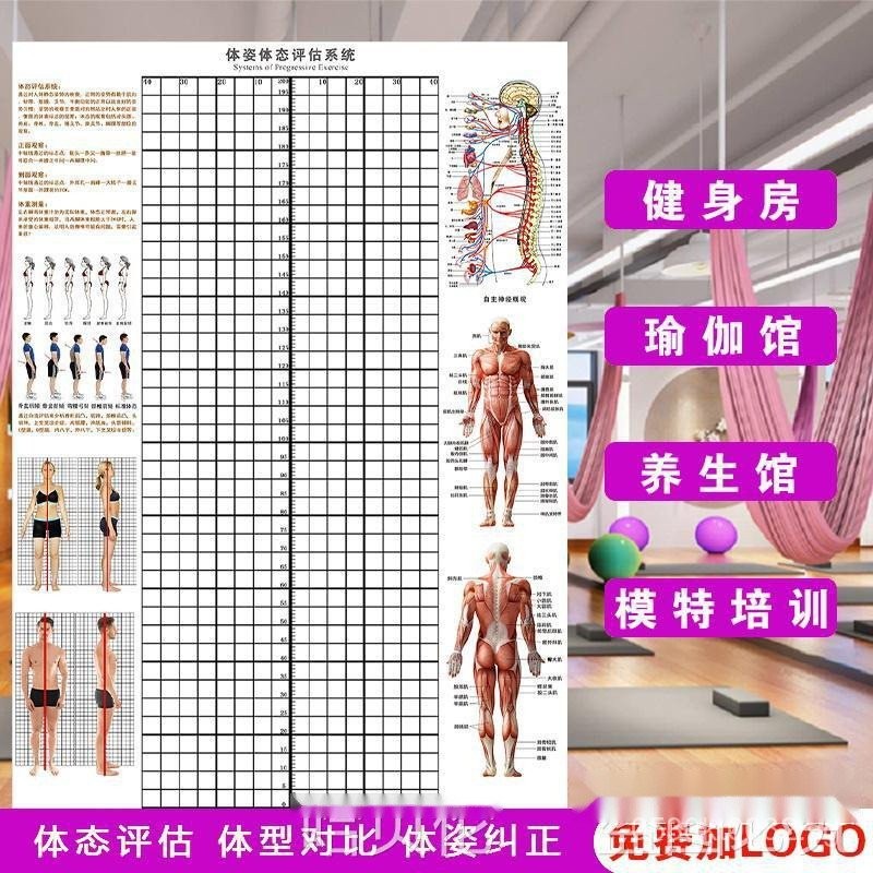 Grid Shape Assessment Chart Gym Posture Correction Comparison ...