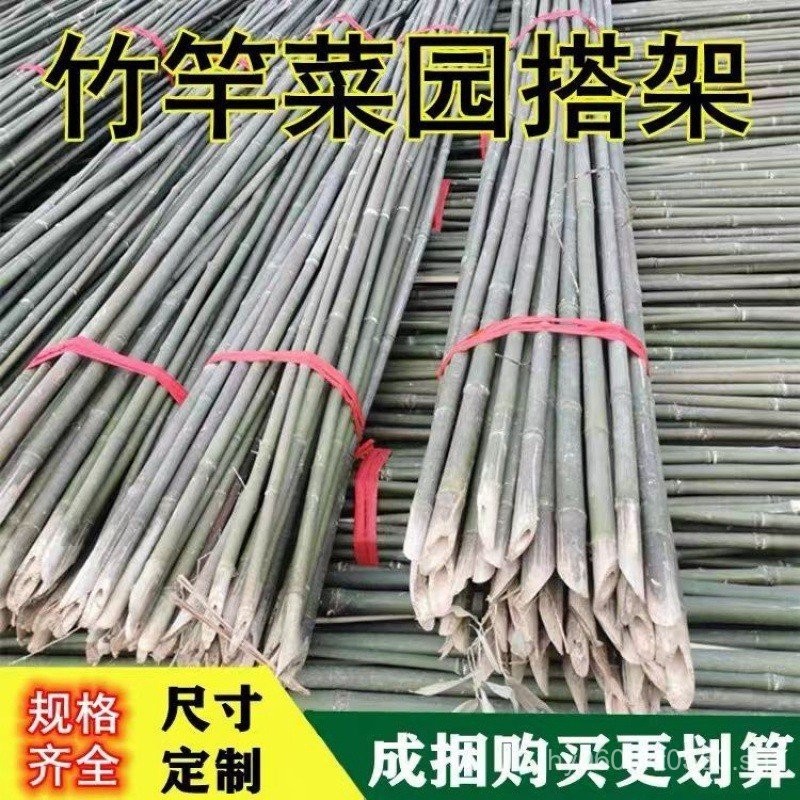Cucumber Trellis Rods Climbing Vine Trellis Sticks Bamboo Poles ...