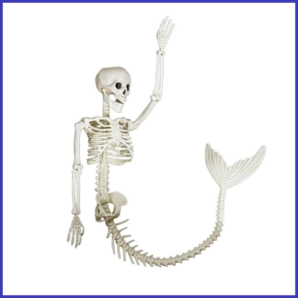 Mermaid Halloween Skeleton 80Cm Posable Skeletons Decor Realistic ...