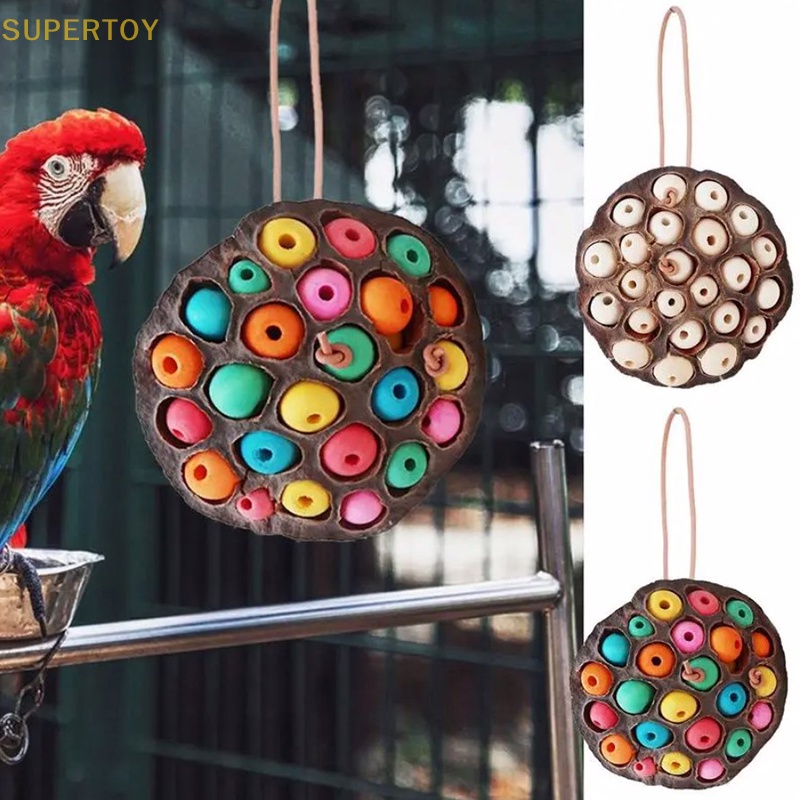 SUPERTOY Parrot Foraging Toys Dried Lotus Pod Parrot Teething Toy