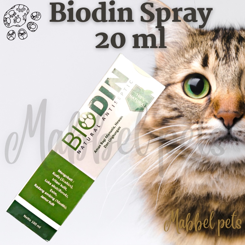 Cat scabies outlet medicine