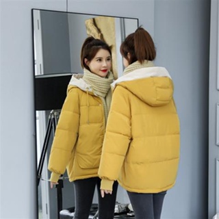 New Fashion Women Long Style Padded Coat Winter Wear Hooded Wadded
