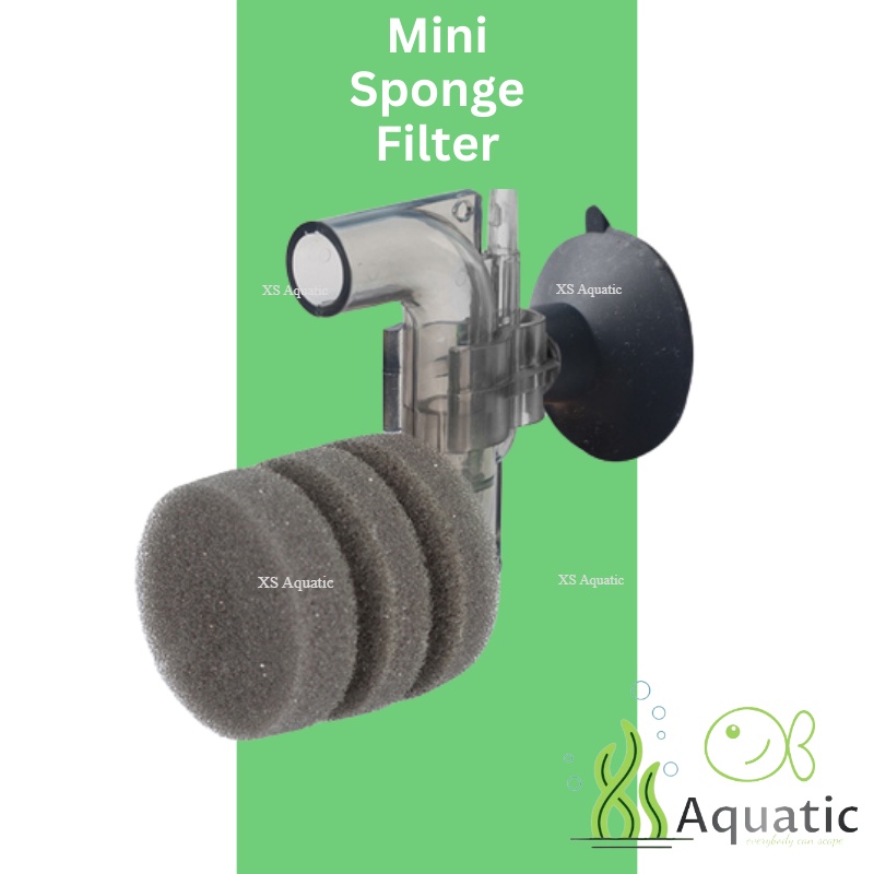ANTOPIE Ultra Mini Sponge Filter Small Tanks and Nano Aquariums Water