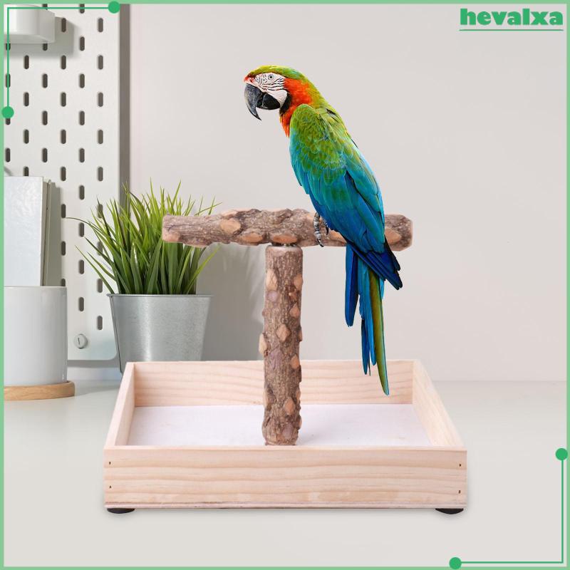 Hevalxa Bird Stand Parrot Easy to Install Wooden Perch for Outdoor Indoor Exercise Shopee Singapore