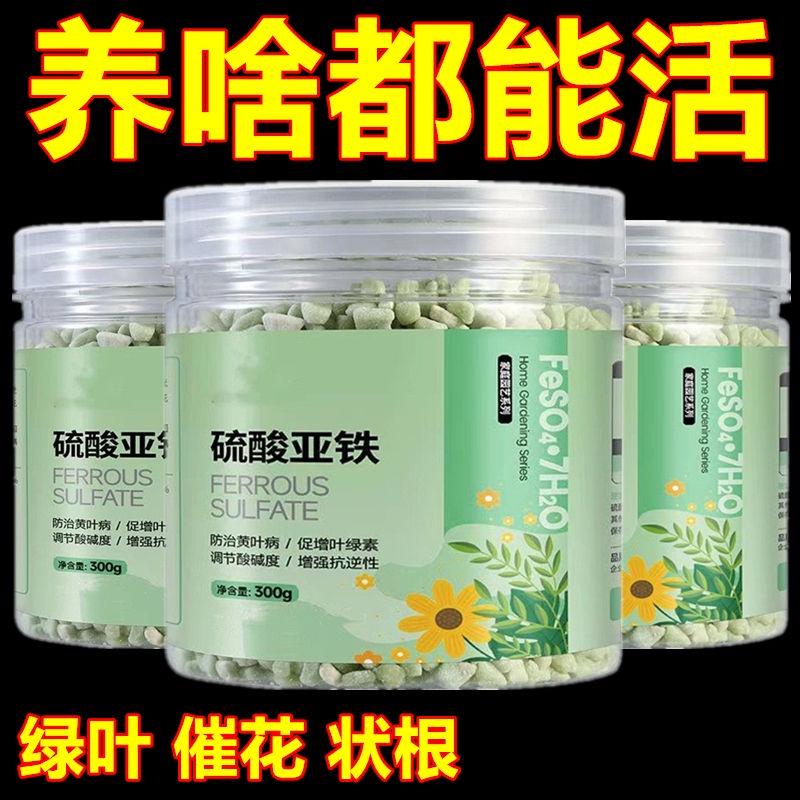 Horticultural plants Ferrous Sulfate Acid Iron Supplement Particle