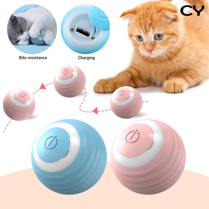 Electronic cat outlet toys