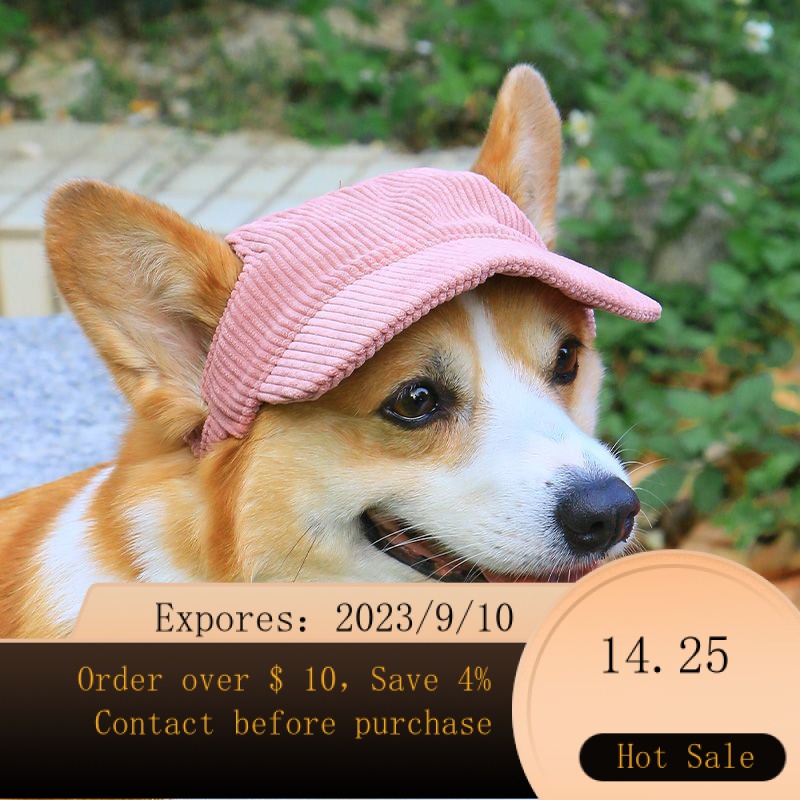 Corgi hat with sales ears