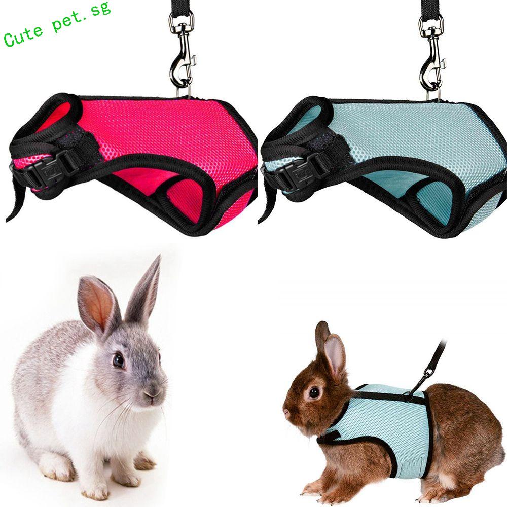 FUZOU Rabbit Harness Leash Rat Soft Pet Accessories for Ferret Guinea