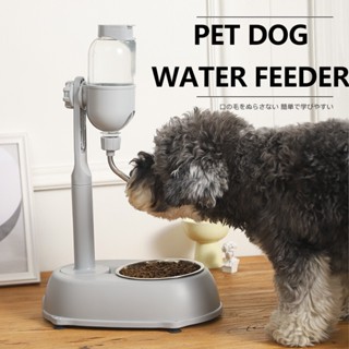 Hanging Dog Water Feeder Stainless Steel Dog Water Dispensers Hanging Catmi Pet TIDY CATS Bichon Supplies Vertical Type Shopee Singapore