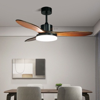 Ceiling Fan With Led Light