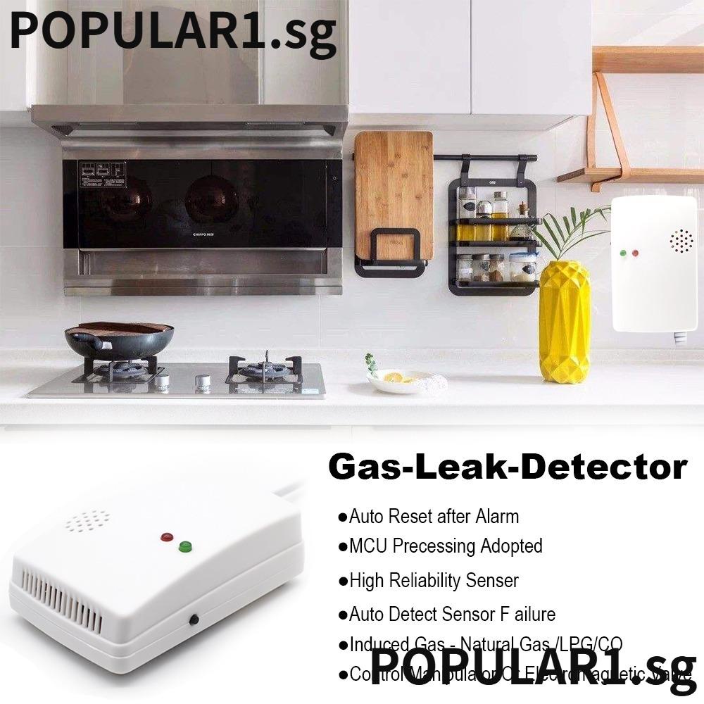 POPULAR Gas Leak Detector Methane Butane Natural Gas Sensor Warning