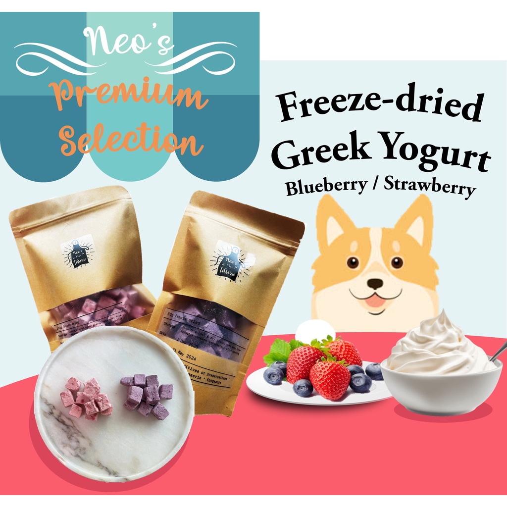 Curated visual reference: Local Freeze Dried Yogurt With Fruit Bits In Cubes Pet Photo Inspiration