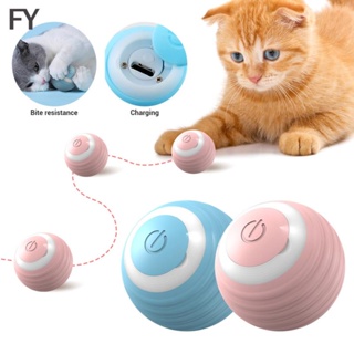 Cat Toy - Prices and Deals - Feb 2024