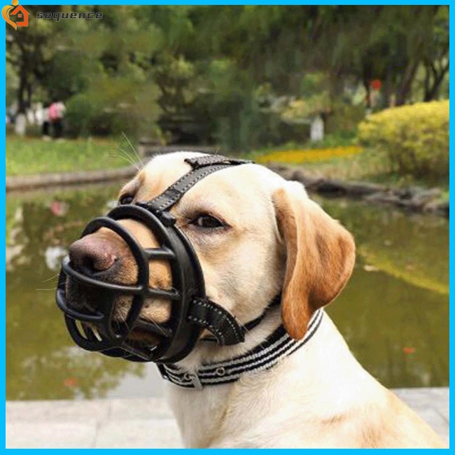 Dog mouth cover sales to stop barking