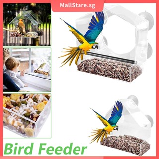 Bird 2024 products online