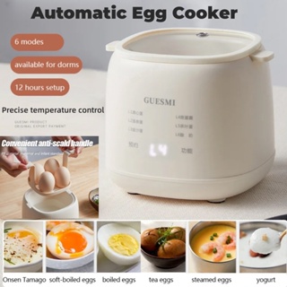 Hen Egg Steamer Household Multifunctional Egg Cooker Small Steamed Egg  Custard Machine