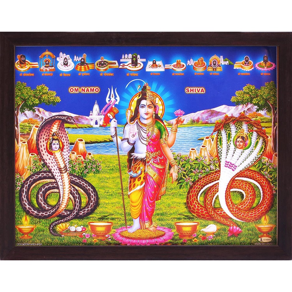 Shiva with Snakes Ardth Nari Ishwar Posterin The roopa A Hindu